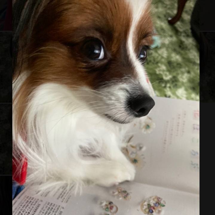 183f3f3e 326d 49a8 909f 23771b2149f1 1640673073351