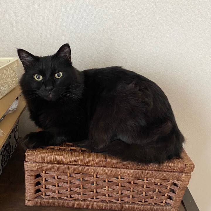 183f7527 376b 4ed9 b51e 37e0a3be79b0 1590544308264