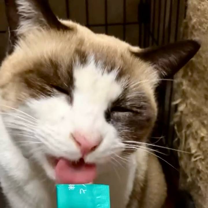 183fa11f 8c9b 456b 9f76 a3f0d5e39d01 1733563400848