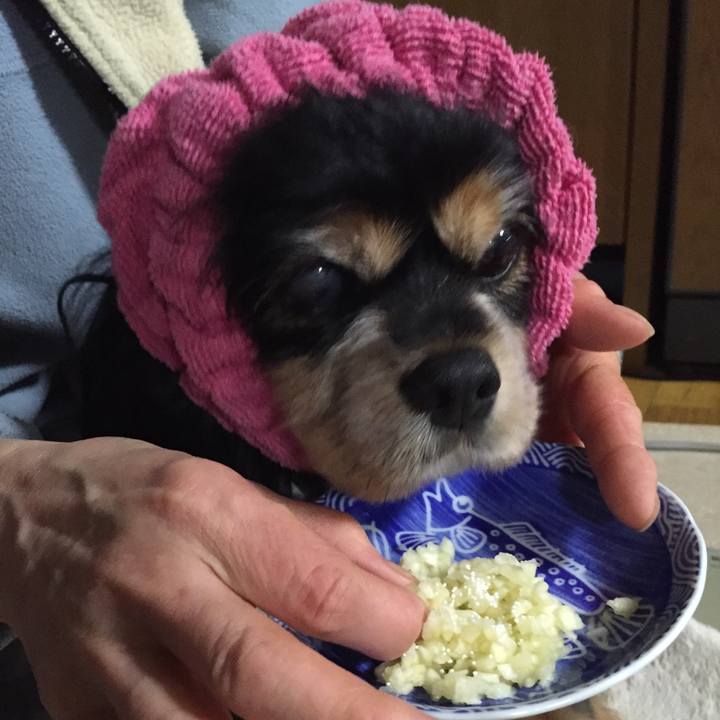 183faa5a e117 4fa2 9763 a8e13d414140 1523453666565