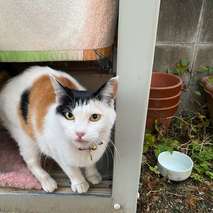 183ff0d2 12b1 438b 93c5 a7c7073cc90c 1638137346942