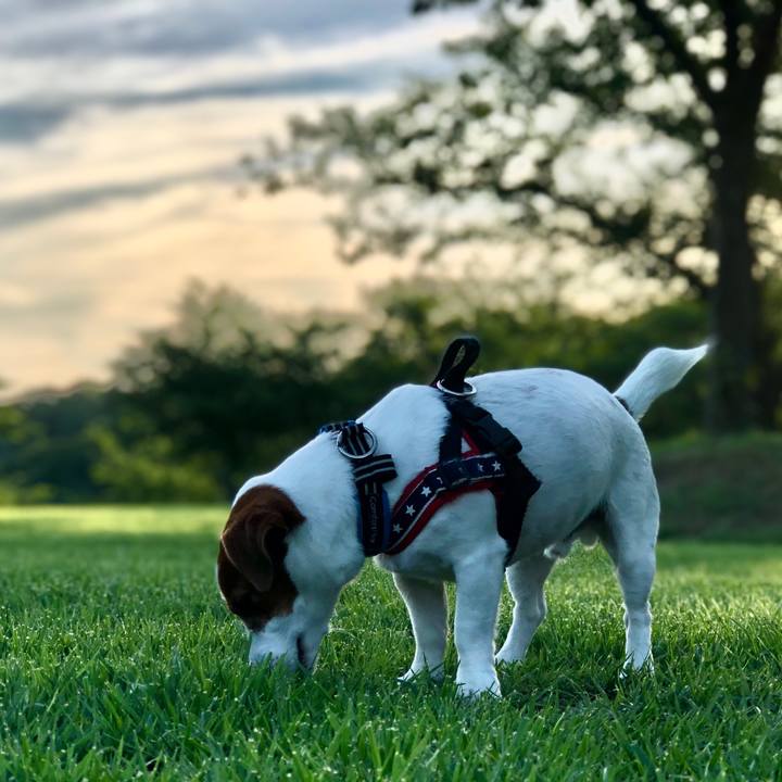 18400024 e497 413c 9878 b1220878b735 1656464165698