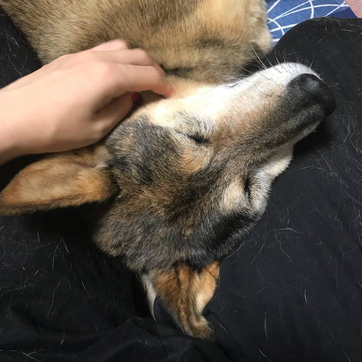 184064fd fe20 41b5 ba31 7c1ace210bcb 1537453370610