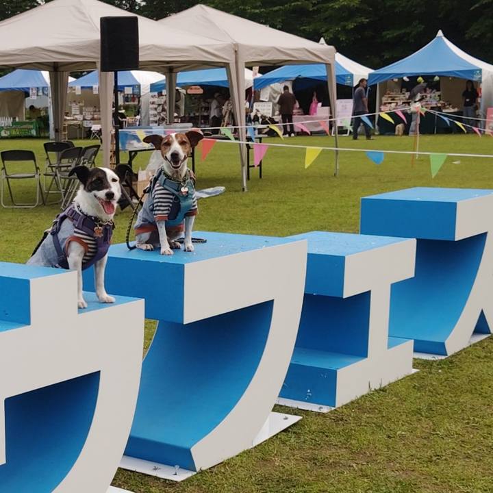 1840a2c9 03e2 4f89 ab29 dfc6dd89284a 1749367209876