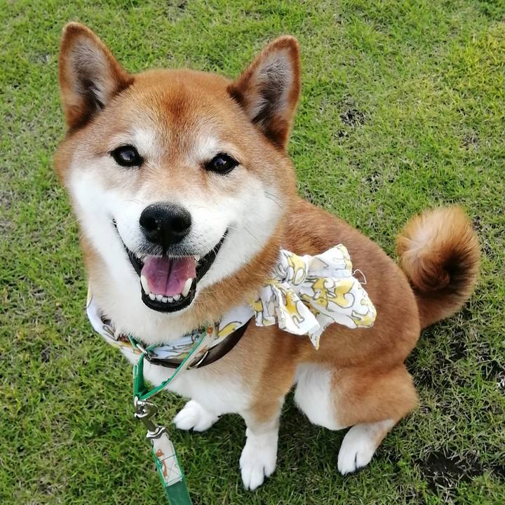 1840bdec 254c 4307 bb02 70e5e4313c70 1623227701559