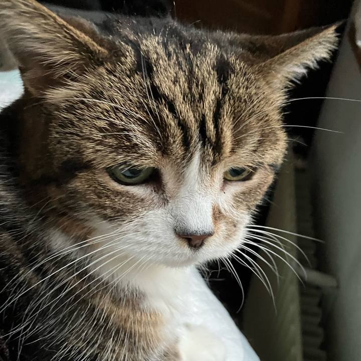 1840dfd2 0fe4 4189 8865 b499e2f00367 1763463372650