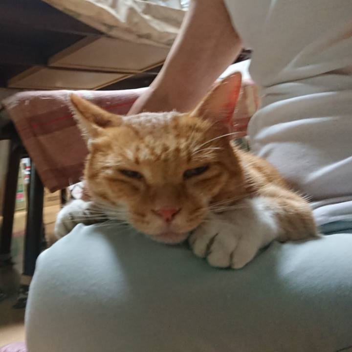 1840ef19 9bda 42dc a7f3 6b25297de758 1600160858081