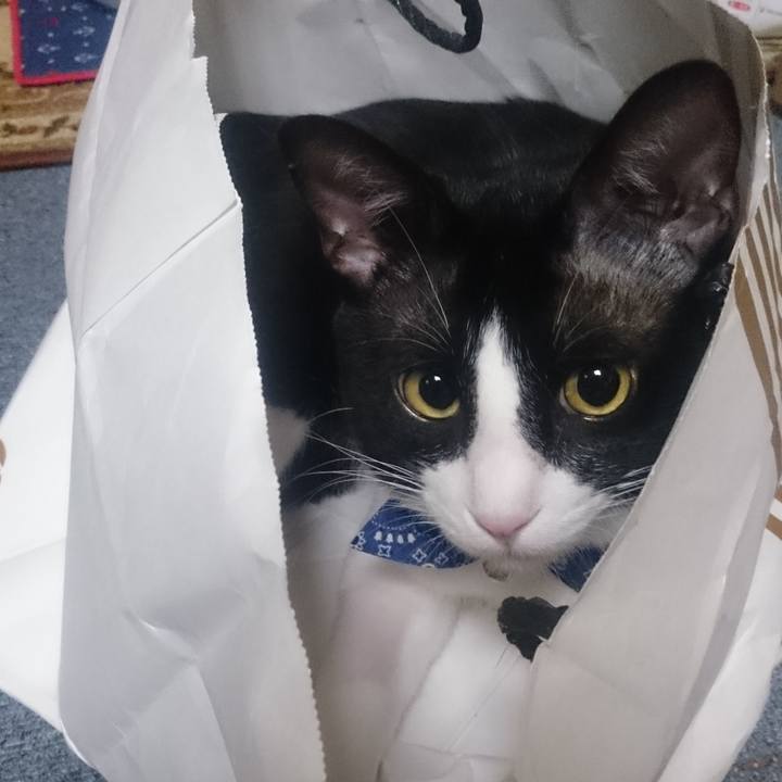 18414159 73fa 498c 881a 471e9021878a 1575545362401