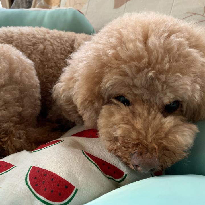 18415993 6f04 45dc a11a d198b9a57265 1560202666640