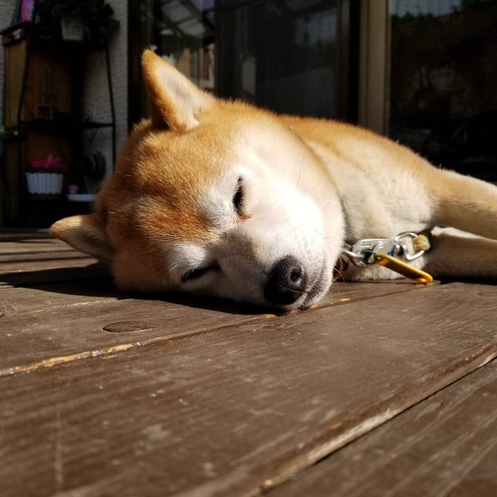 184185d7 f9ef 4b10 bef5 0aa2fa02c669 1623278514075