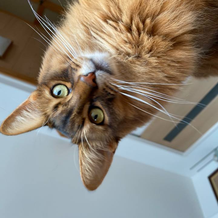 184190eb a815 4632 92e1 ccb158f6d1fb 1737611993955