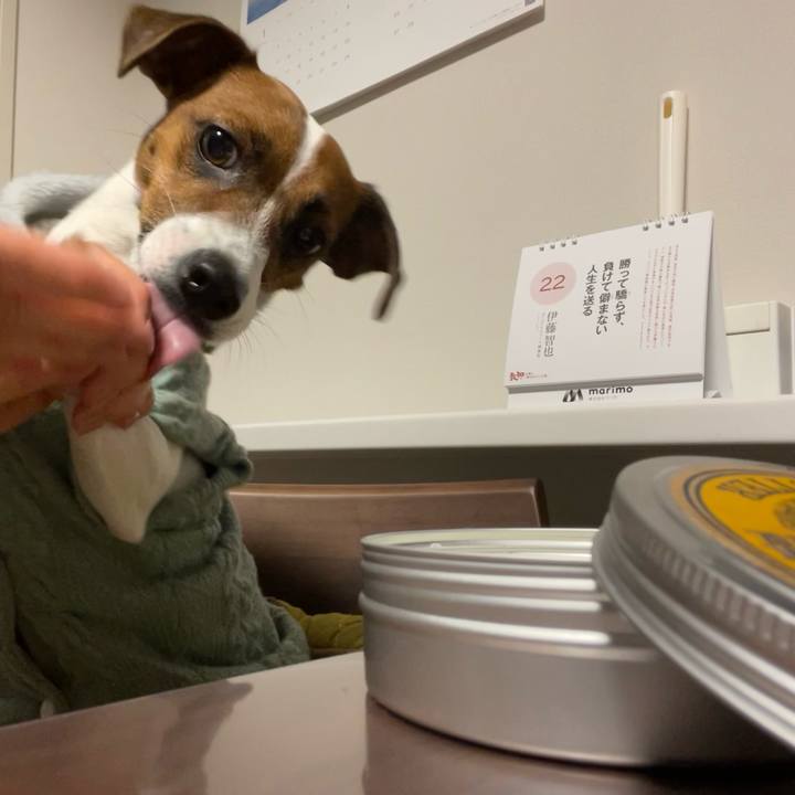 1841a390 0c52 4ee9 aa11 9526f9ddfded 1642863008081