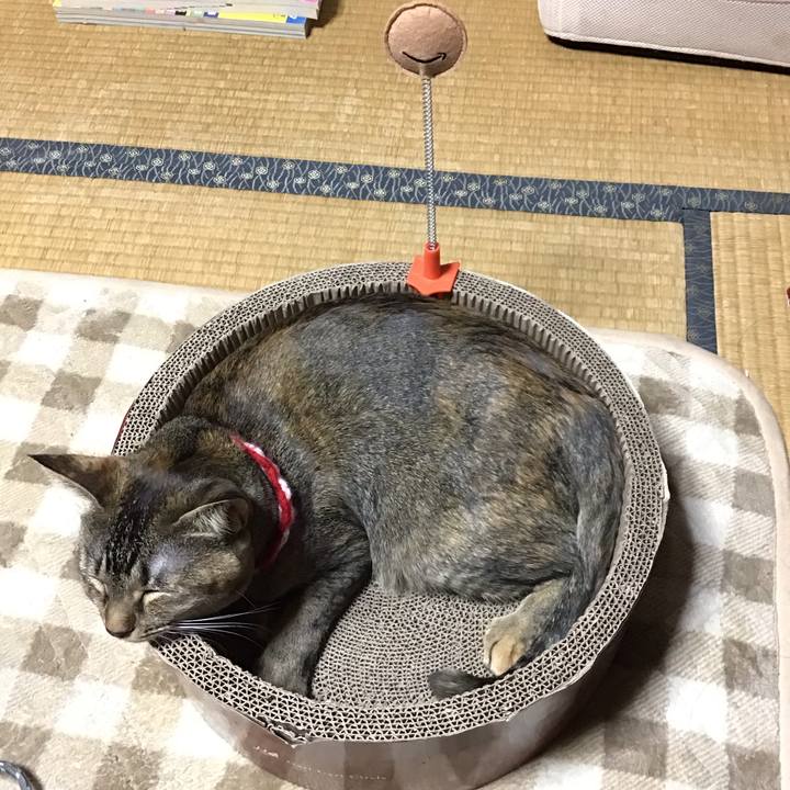 1841c9eb aac4 4be0 9add a085c1c42a80 1607154612857