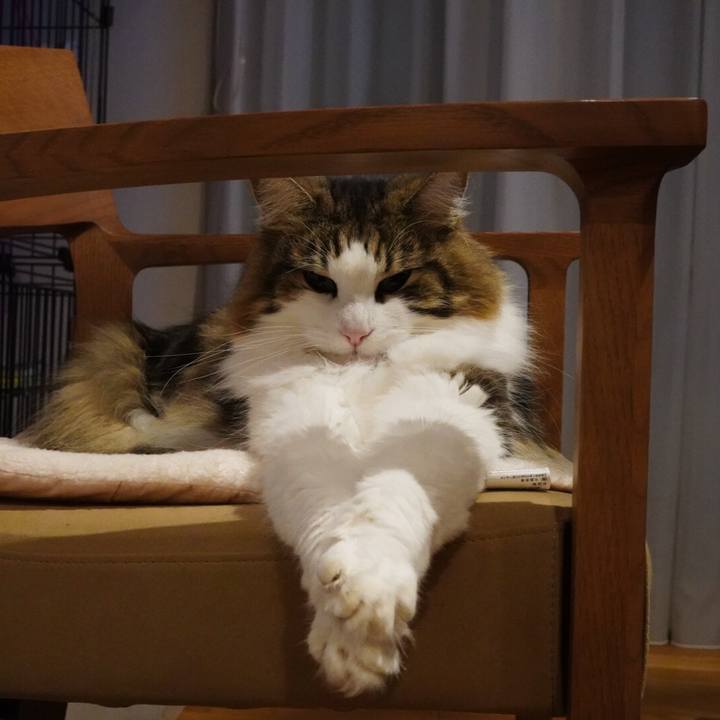 1842e026 847e 4d11 86d1 ade6bbb32cd6 1606390780151