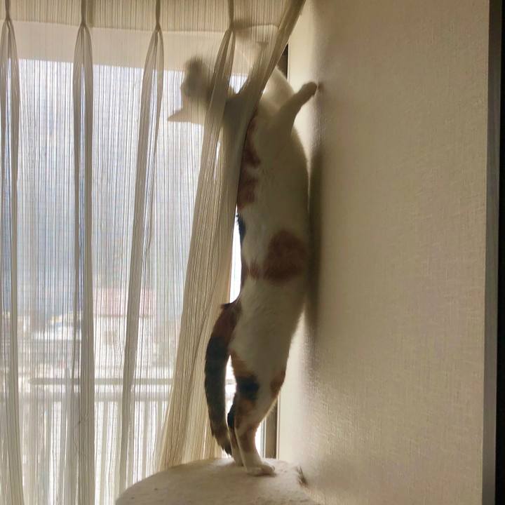 1842f5a9 5eab 4851 9324 558283336223 1598830700919