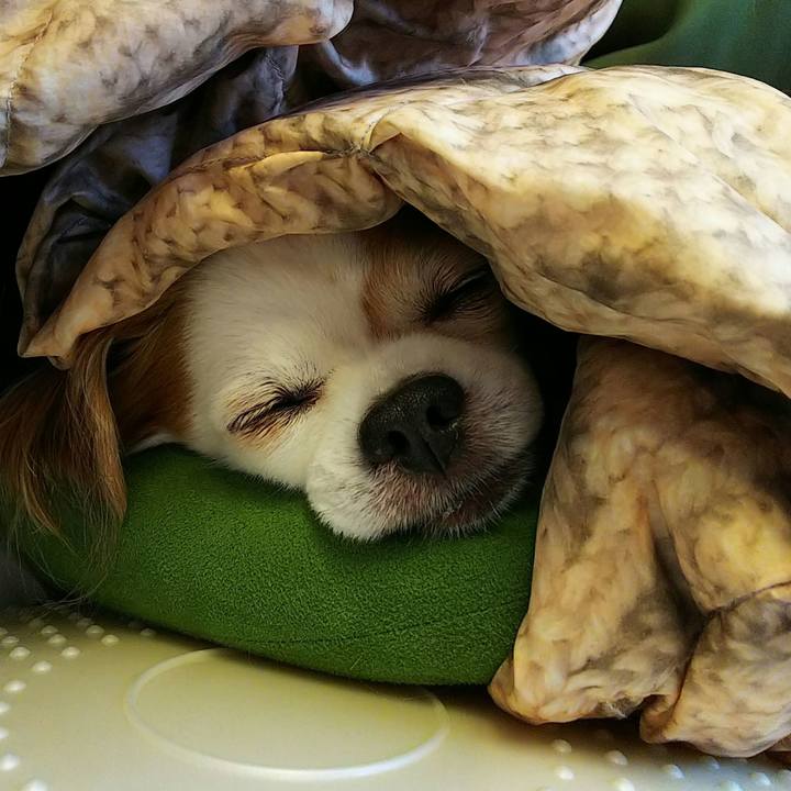 18431f2a 45cd 4195 8097 3c807330e0bd 1719559798181