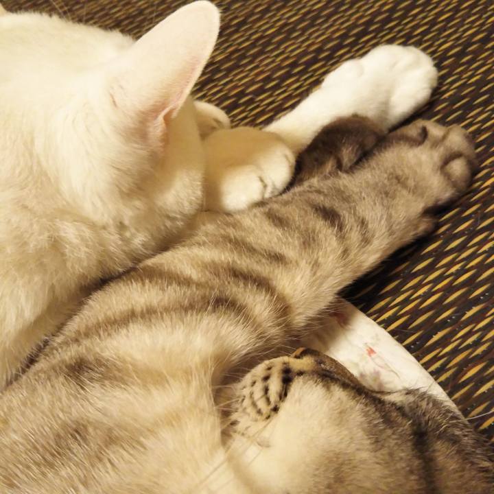 184388e0 da29 46f6 98f5 cedb67533202 1589299614949