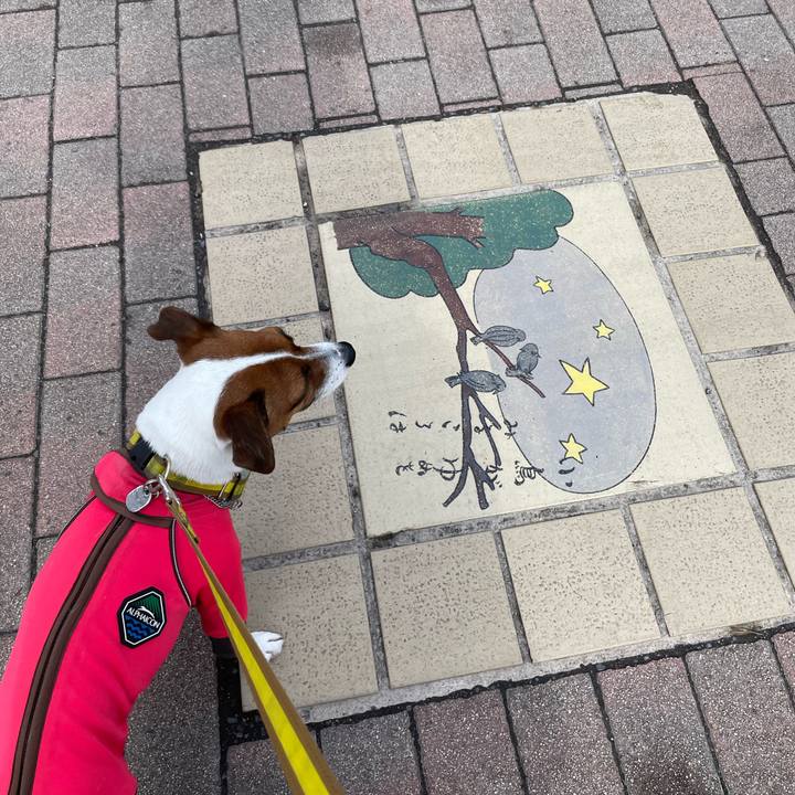 1843a40b 1518 42b5 8ebb 8b6c8ef4851f 1646543517989