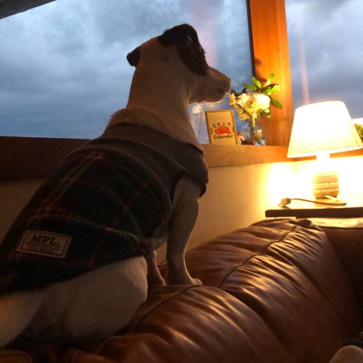 1843a932 1b33 465a a2f7 eadd08aa5249 1547195946031