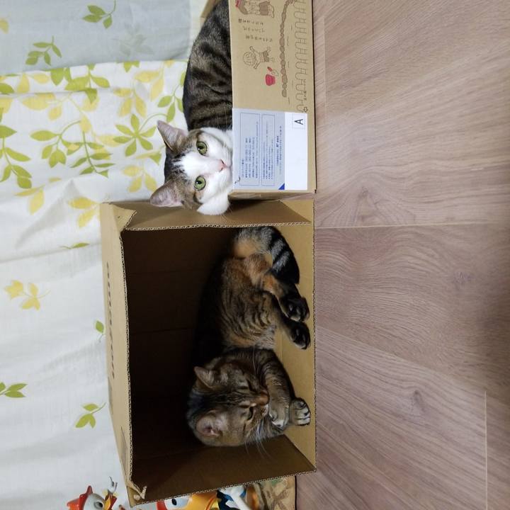 1843bab9 ed4d 419d 809c 395f5cf0be3b 1587040687131