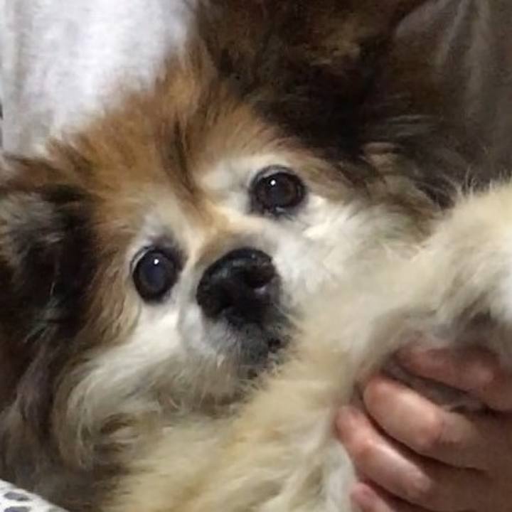 1843cc09 a809 42cc 9eea 543eb9824edf 1623603621072