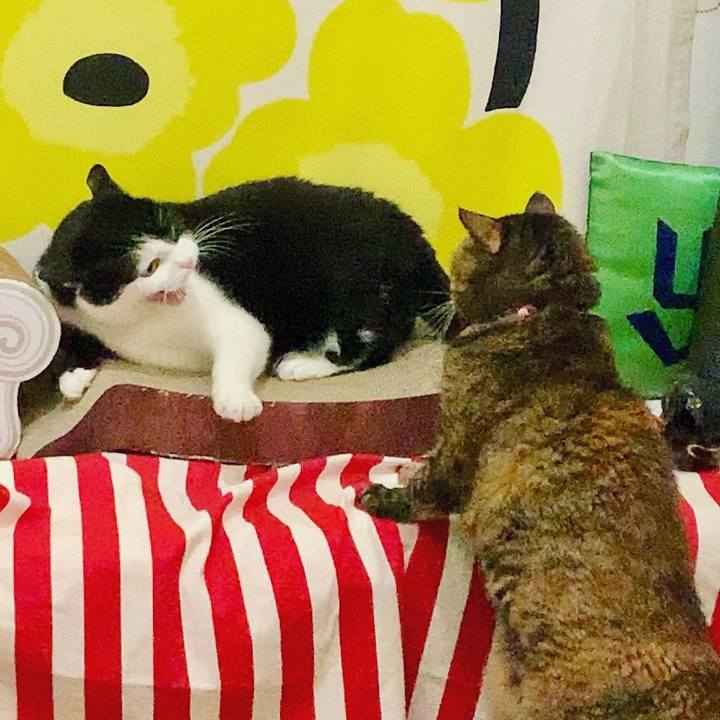 18442053 7f41 49d8 8302 33c26a307ba2 1670193569649