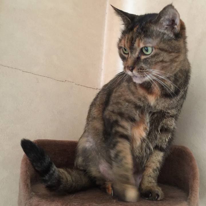 1844263f 5649 41cd be9f f19ff5a97624 1583937074969