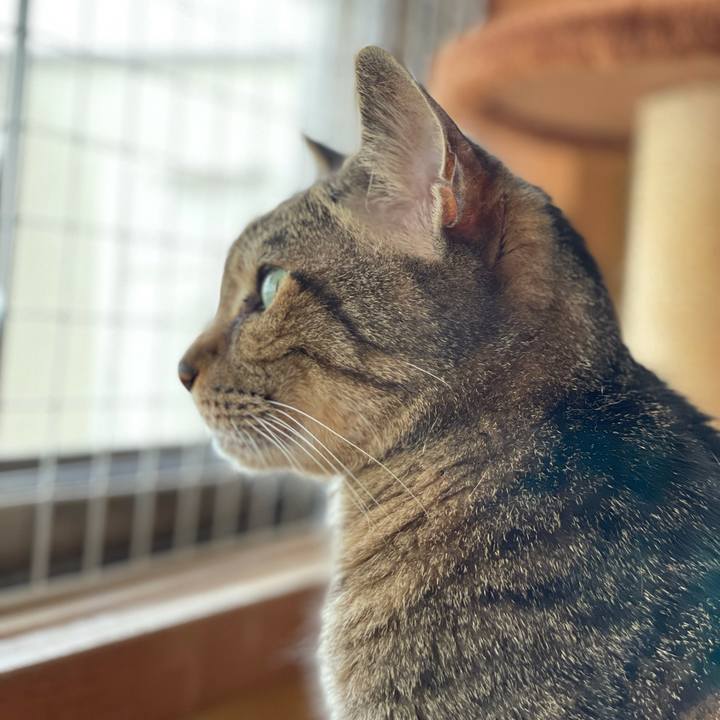 18442f31 5d7e 4e5a 9387 183e95ebcc17 1624583702545