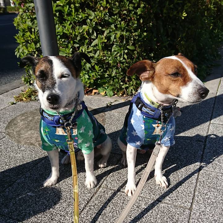 184448b1 c94b 4b10 9067 ca4c51f80ca4 1605319259421