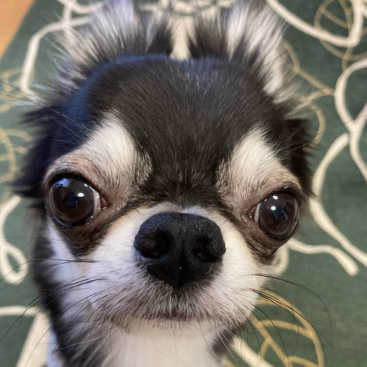 1844641f be13 423c bce1 79ab80b25df6 1638571970717