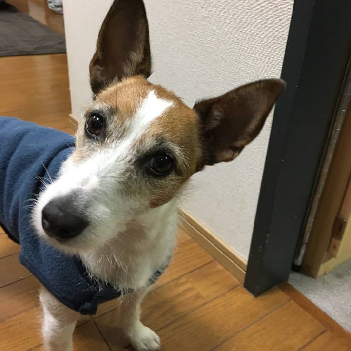 18447615 b1ff 42ea bcfd fd54cedf8d97 1556076395470