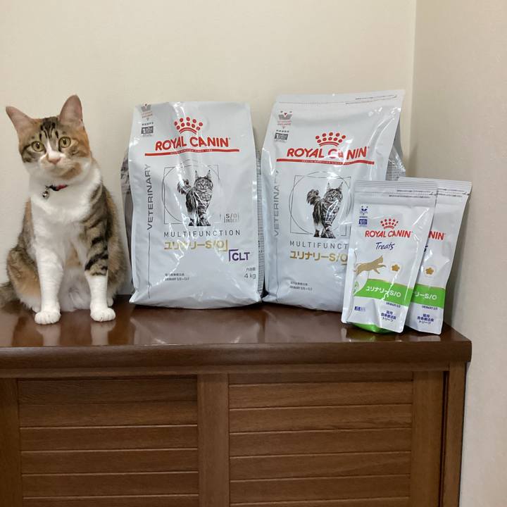 184487dd a684 483d b1d1 738ebb501f0f 1656024757149