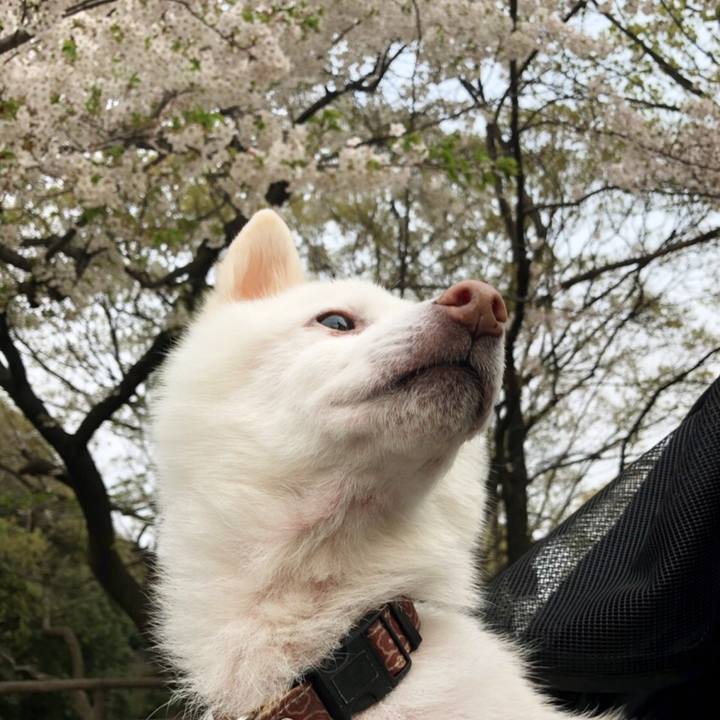 184491ff 257b 4216 b70e 51e9df83e780 1554701609190