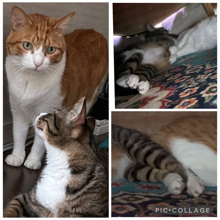 18449de0 aa8c 4291 8e6f c54372ee90dc 1769595386100