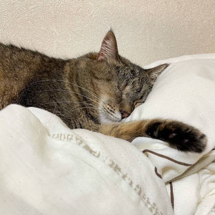 18449e1b 3db6 4296 af23 e860abd2d1e4 1617460412965