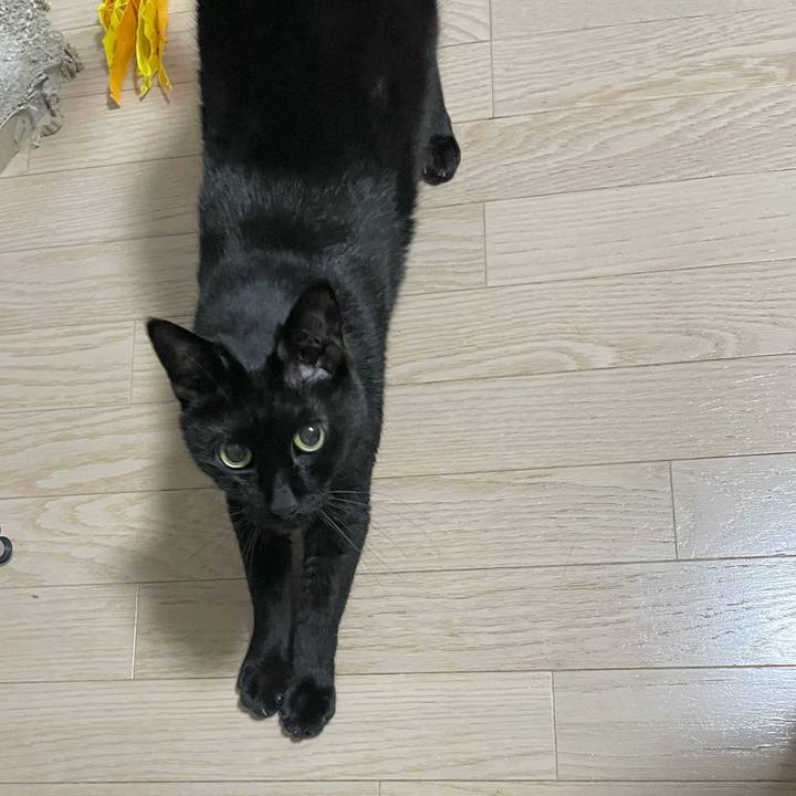 1844ae1d da07 4a2b 9da3 d328a9dc8a3f 1715596040685