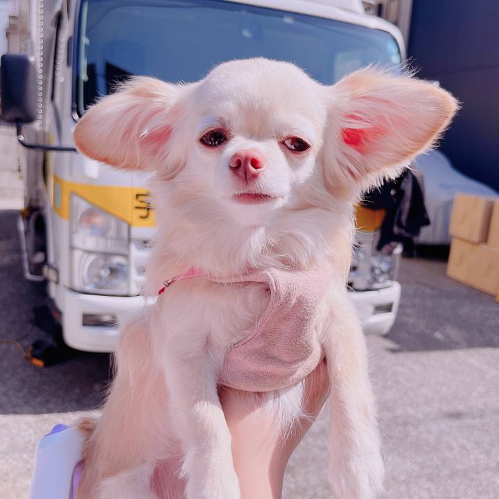 1844ec16 4079 4914 a99d a0667904ce42 1683181376665