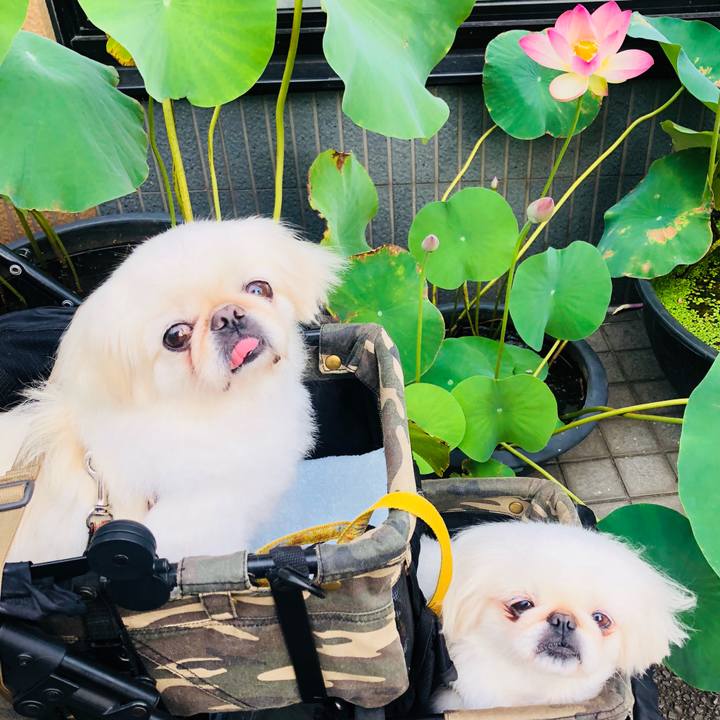 1844f78b d55d 48ca 8627 5bd55cad44bd 1598392364500