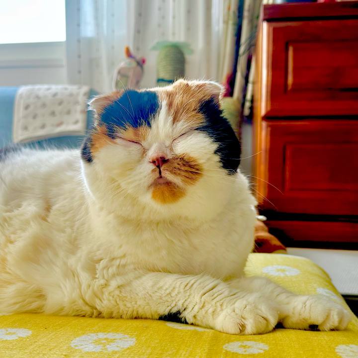 1844fd5b 4e3c 4350 9e51 cb0a0fd364e1 1728449378891