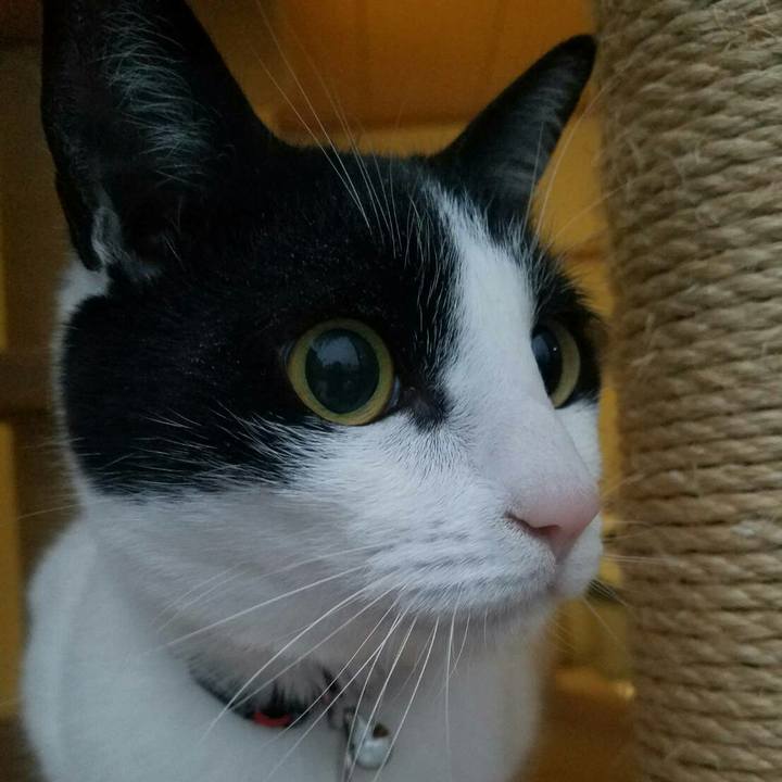 1844ff77 07e9 4383 9321 e265fc7bf1e1 1516659972103