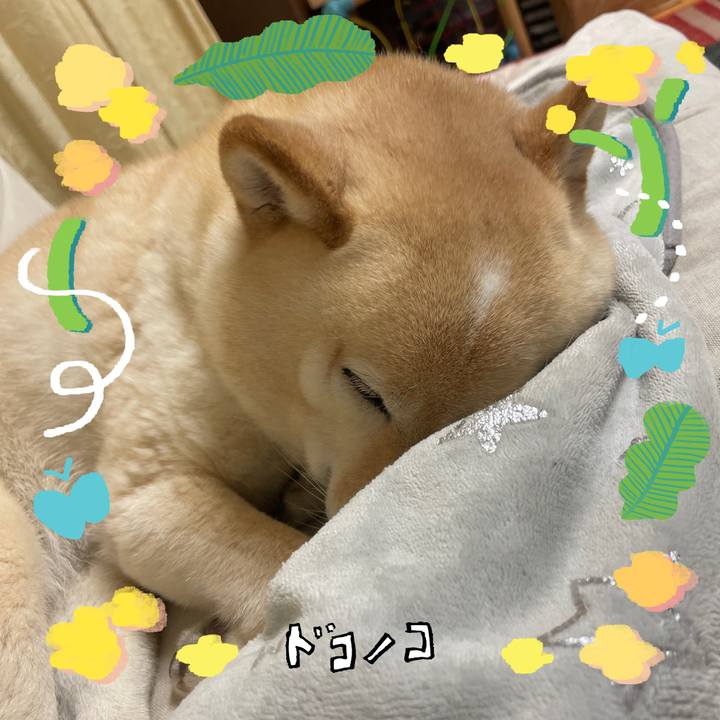 18455cd3 93b7 4f98 ad0e 3af1fd7ea6c9 1744464381507