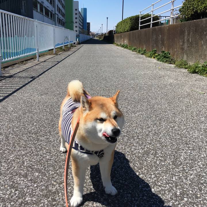 18459928 46ab 4e79 9b9b 23dd3f86a8e3 1554260671407