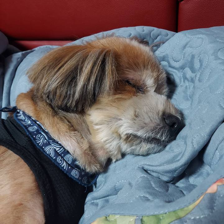 1845bc01 216c 4c41 81d9 3caf4ff0878e 1666098008605