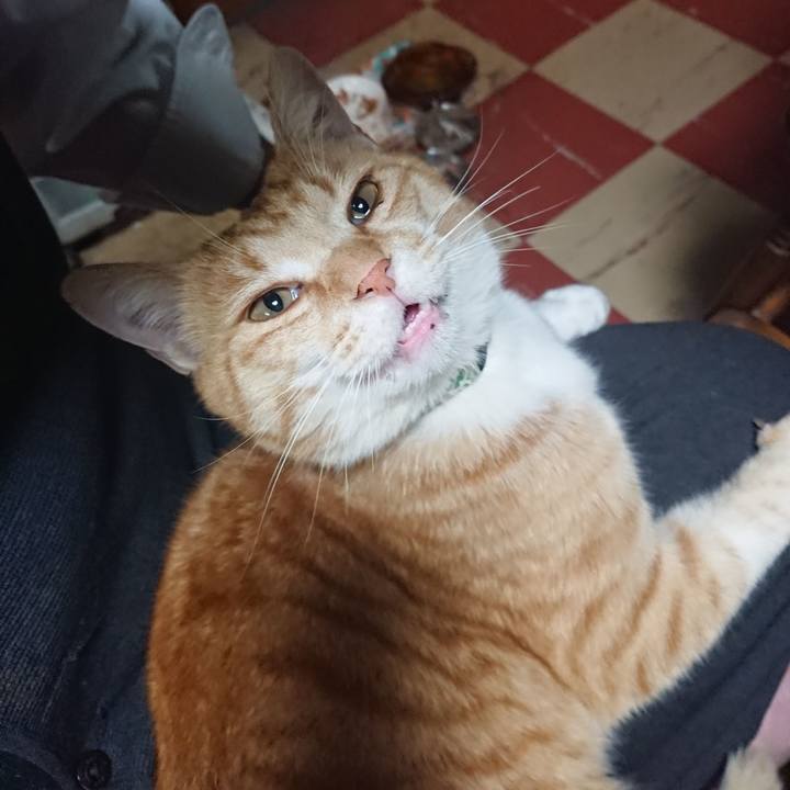 1845bd17 8b89 4c0e 894a 9eb15ac7a6a4 1586255722068