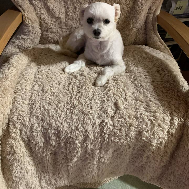 1845d010 0d36 452b a4a5 14c5f5c9cd75 1574424662934