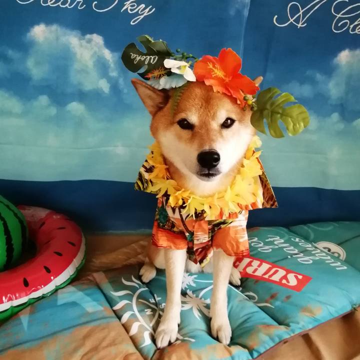 1845f731 be1d 4f40 959d f3588e6ddc49 1689597112642