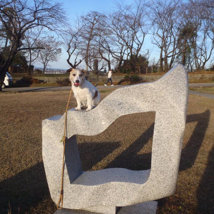 184632be dc18 47d8 a948 02e37bc815dc 1543745947915