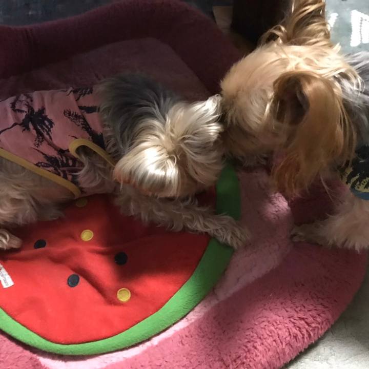 184685ba 4ea2 48f4 a6d8 1bfe1f17a374 1583572346904