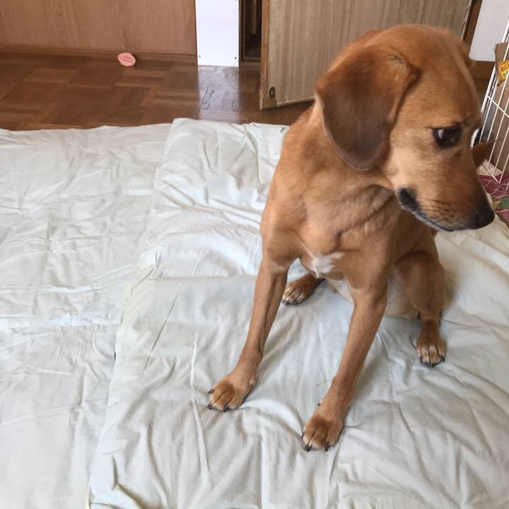 1846b661 00e0 4b6c ba61 773b4be6fbb9 1530595308113