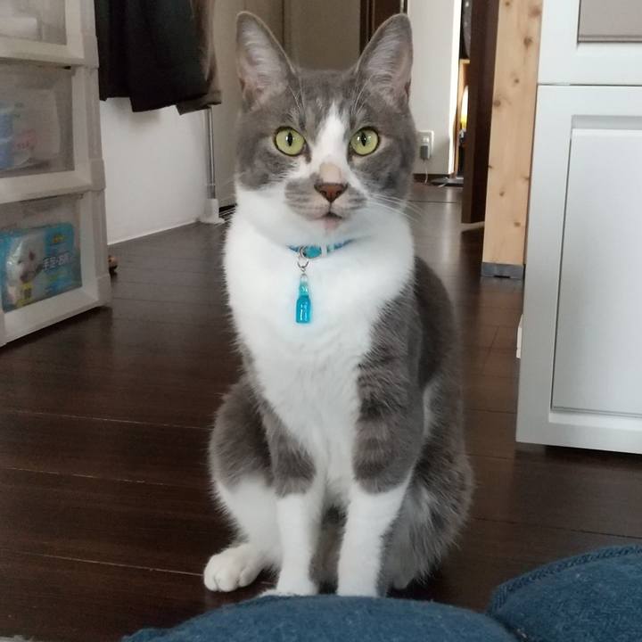 1846da1e 6922 4c85 9088 f9ba8af26e98 1621823401648